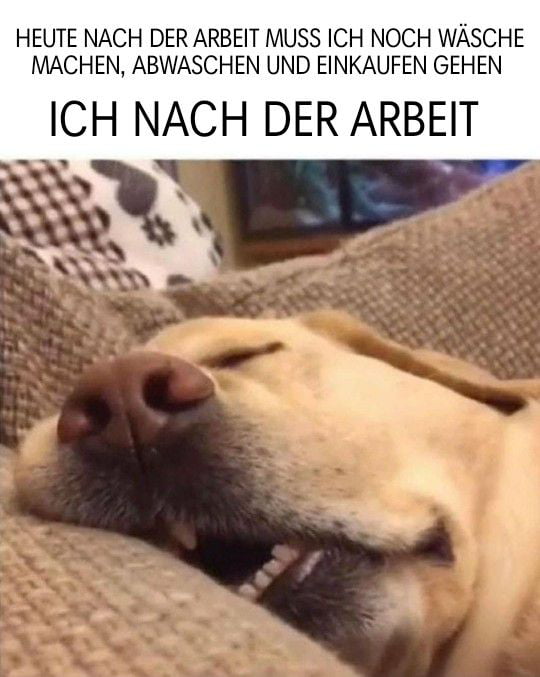 Moin ihr Schnarchnasen. 9GAG