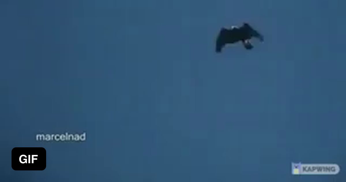 Eagle picks up entire goat and "accidentally" drops him down a cliff 9GAG