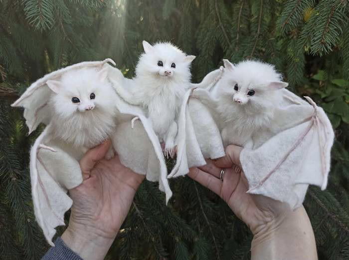 Just an adorable family of rare white bats - 9GAG