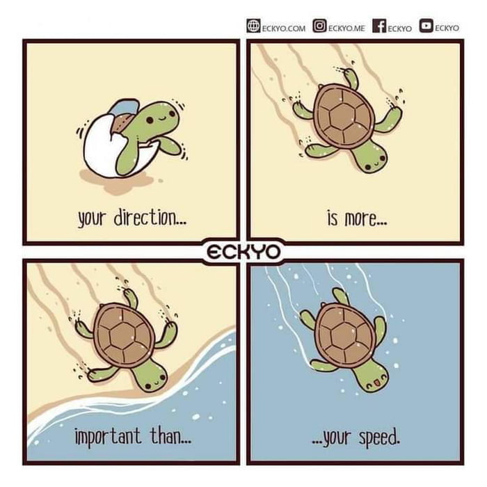 They know what happens to turtlets during hatching, right? - 9GAG