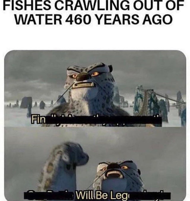 Evolution be like - 9GAG