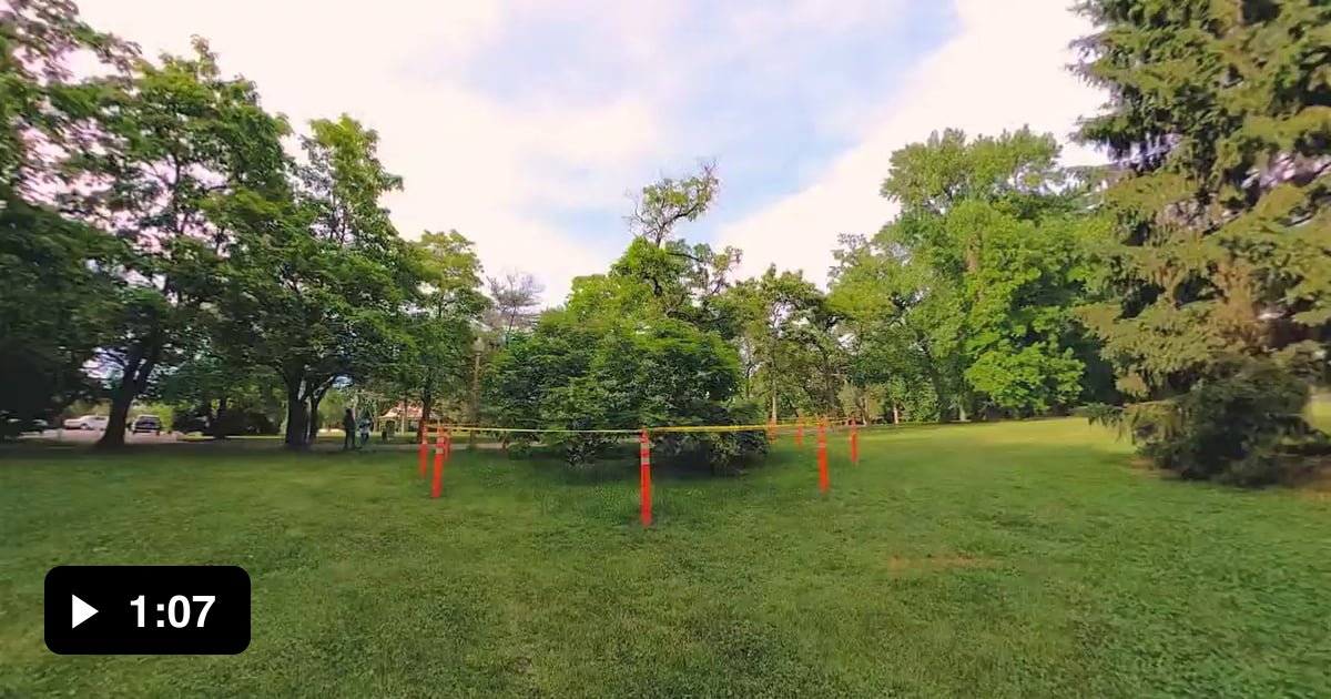 100-year-old-catalpa-tree-that-looks-like-the-keebler-elf-tree-it-s