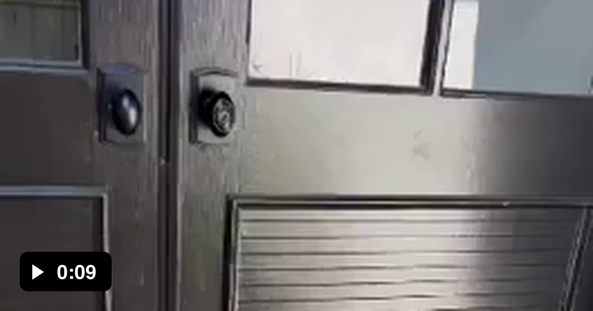 Protect your home with a scary dog 9GAG