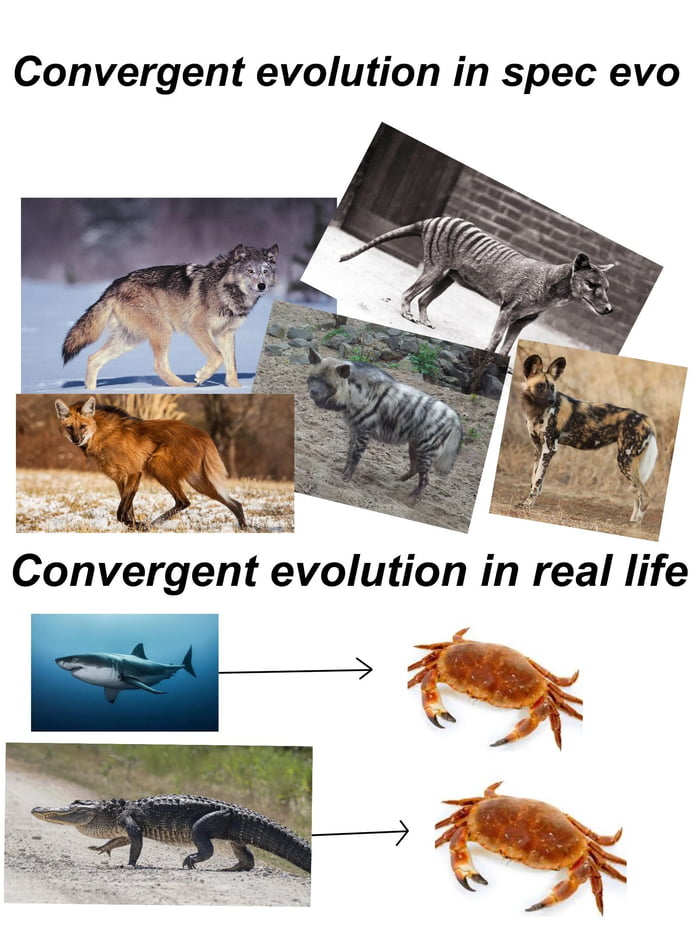 When in doubt, evolve to crab 9GAG
