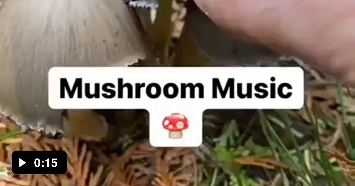 Mushroom Music 9GAG