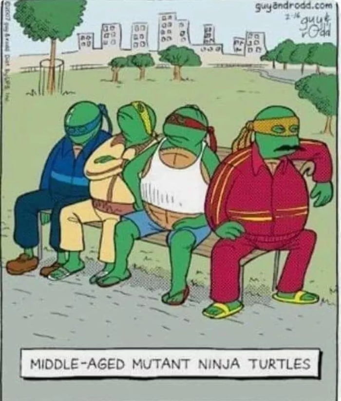 Middle Aged Mutant Ninja Turtles 9gag 7612