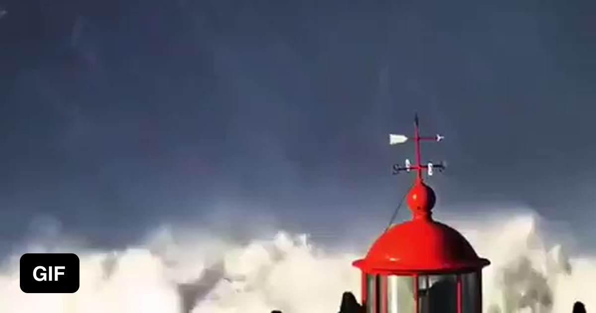 Sebastian Steudtner, a German surfer, rode a 115 feet tall wave at