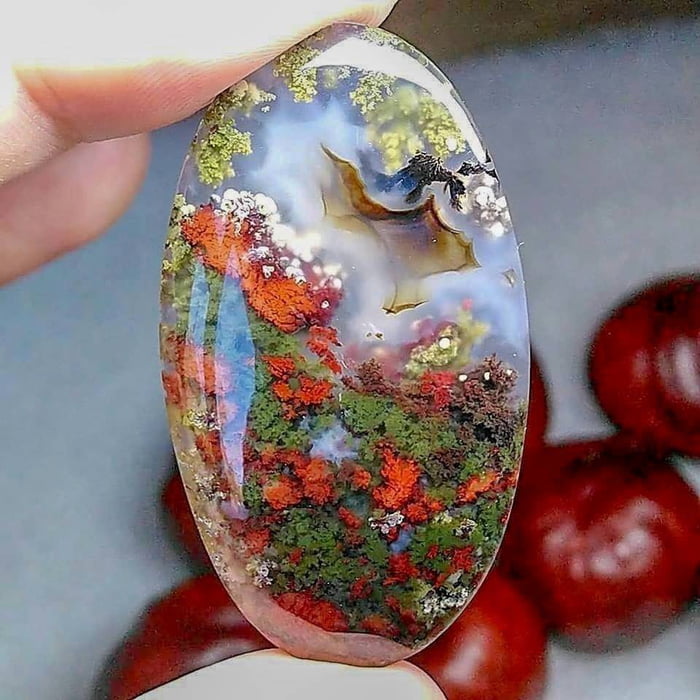 Another Breathtaking Moss agate from Indonesia that seems to hold a ...