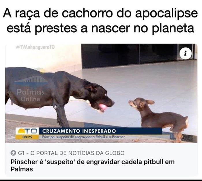 Uma nova raça: 