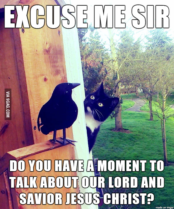 First thing I thought of when I saw this - 9GAG