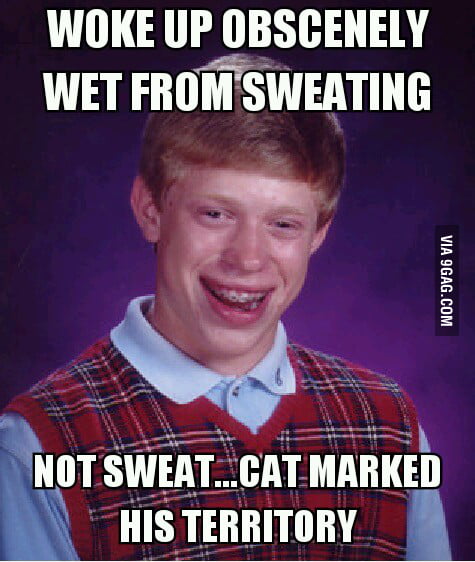 i-wish-it-was-just-night-sweats-9gag