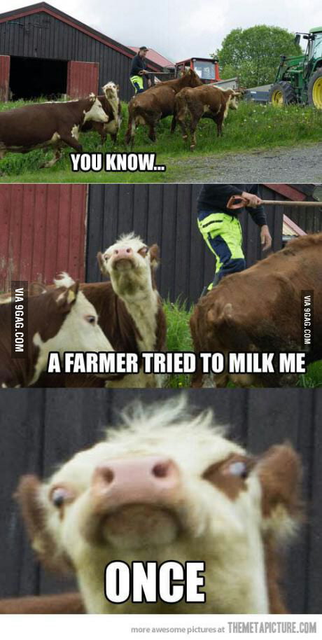 You know...a farmer tried to milk me... - 9GAG