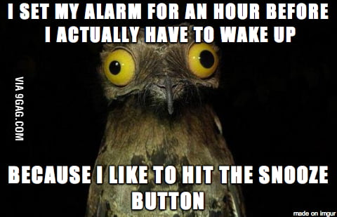 It's Like I Have Five More Minutes To Sleep 12 Times - 9gag