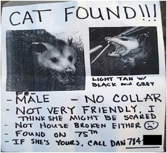 Sign found. Лост животные. Lost animals. The Lost and found meme. Advertisements about Lost animals.