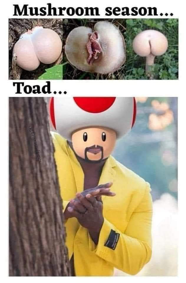 Toad, you dirty shroom you - 9GAG