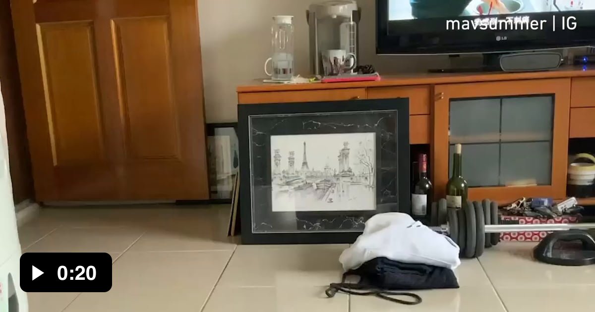 How To Play Flying Disc With A Dog In Sims