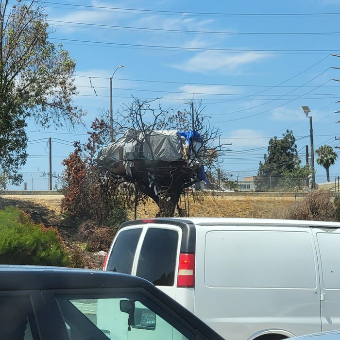 Homeless treehouse in Los Angeles 9GAG