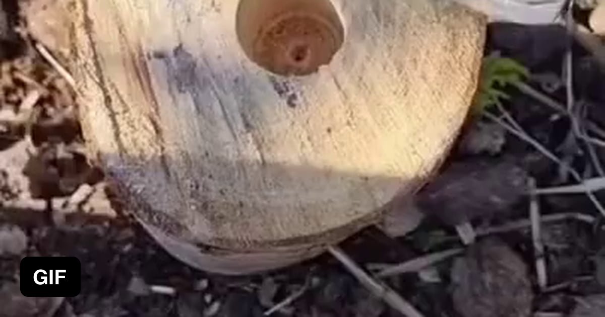 Tin foil covered in 3..2..1 9GAG