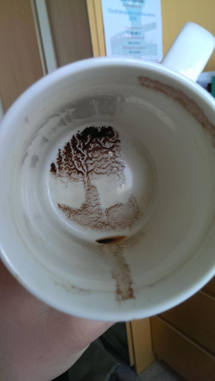 The grounds in my coffee cup kind of look like a tree 9GAG