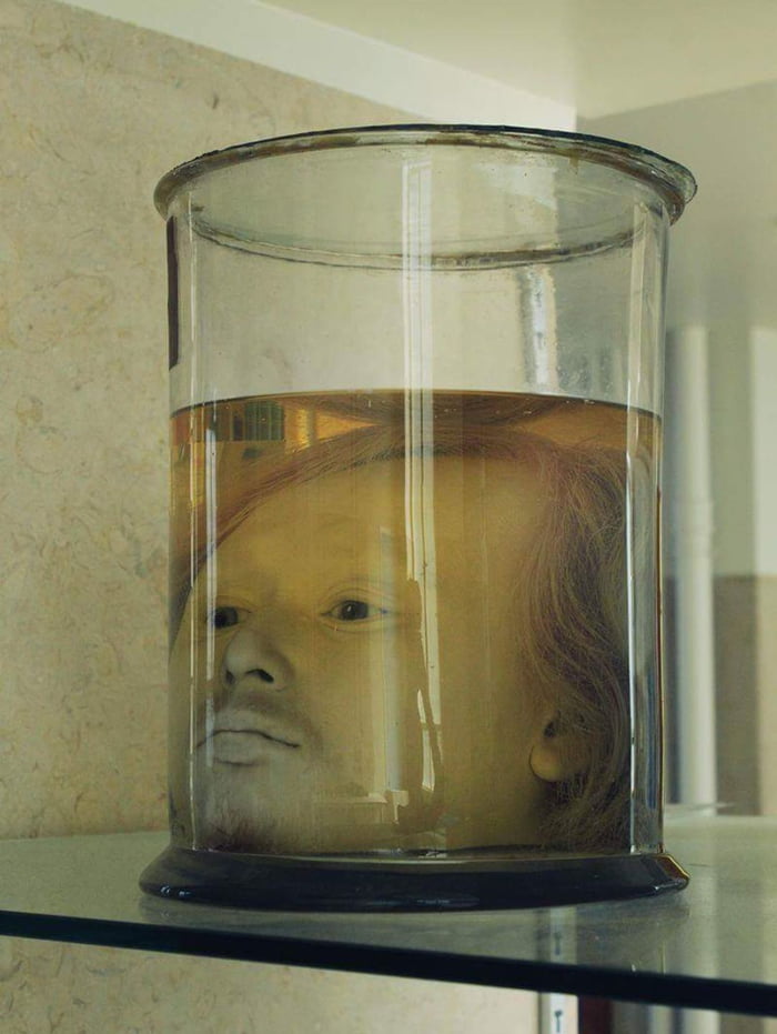 The preserved head of Diogo Alves, a Portuguese serial killer from 1841 ...