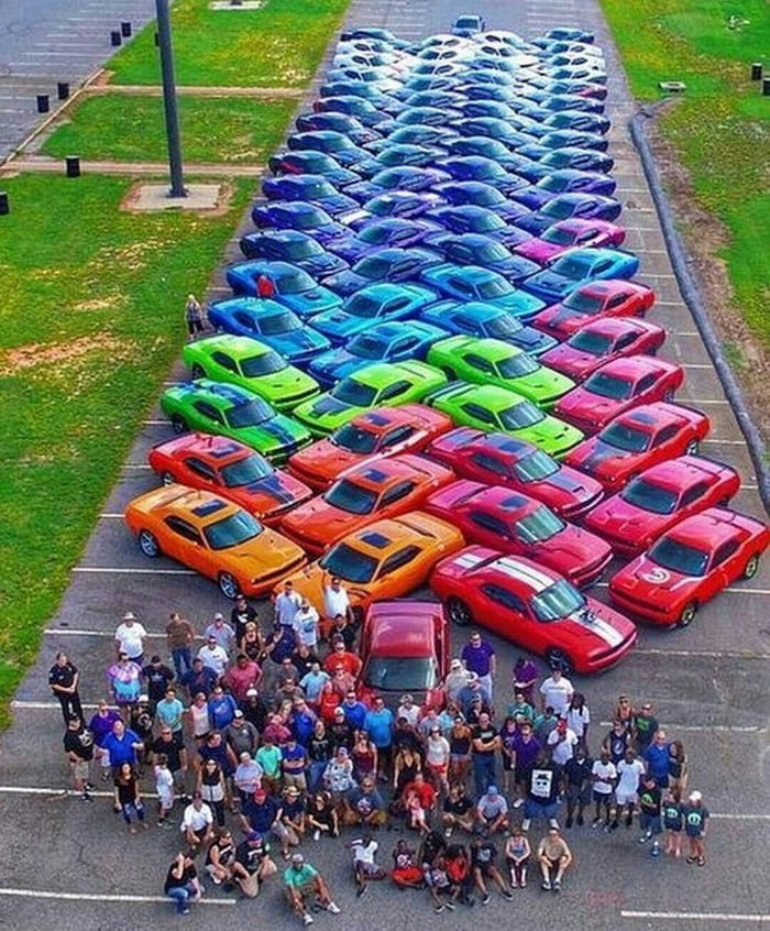 Oddly satisfying - 9GAG