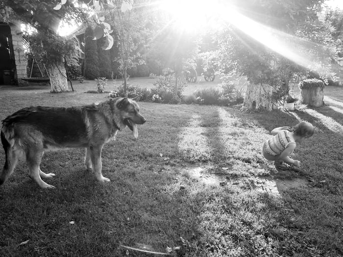 12-years-of-love-farewell-my-old-friend-you-will-be-missed-9gag