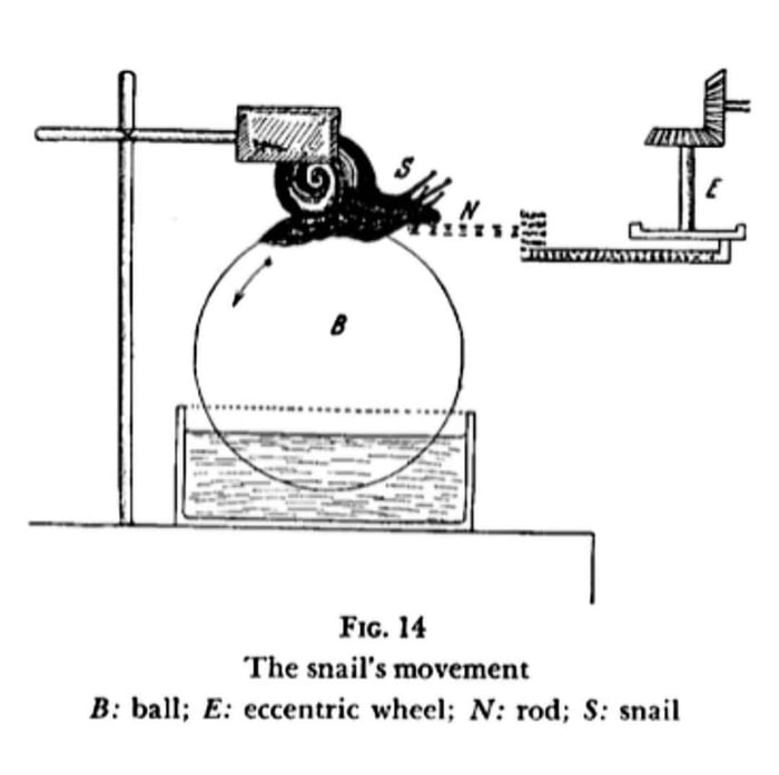 Do you like figs? 9GAG