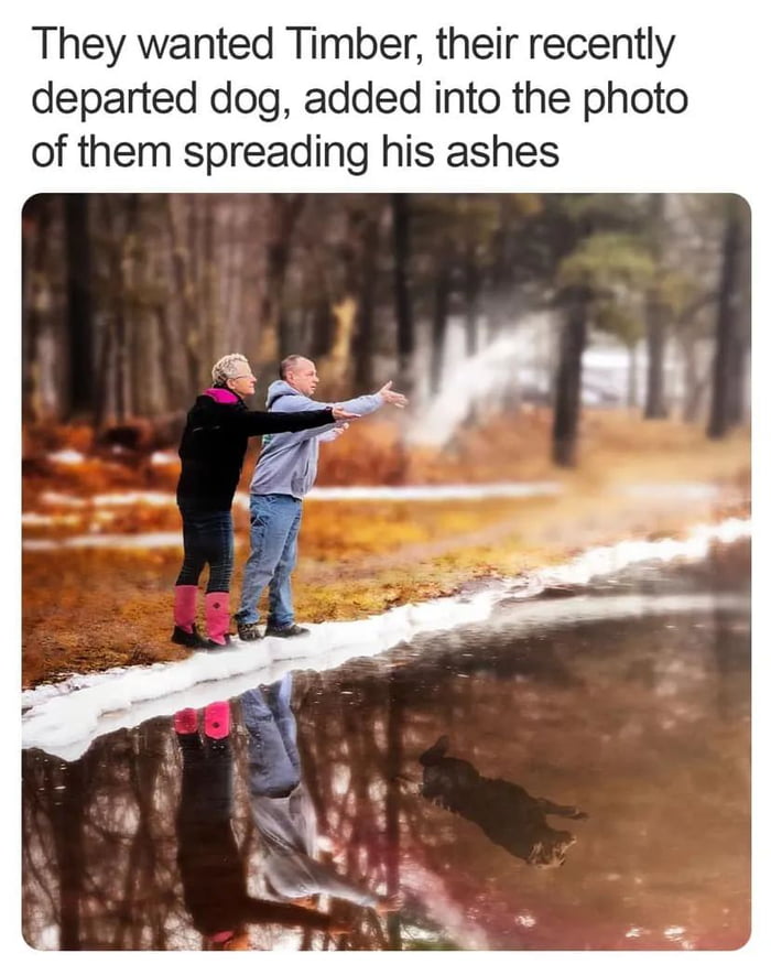 This Is Beautiful 9gag