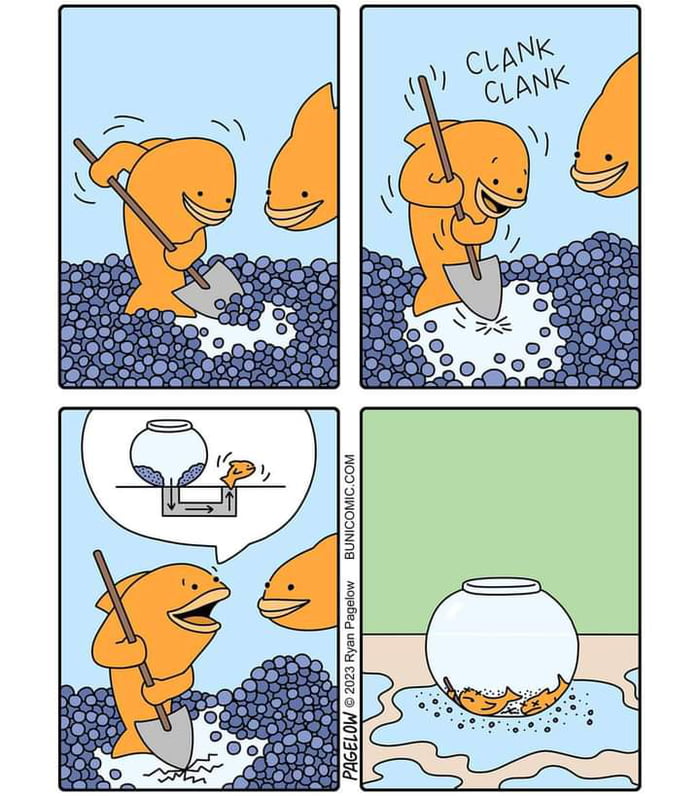 Fish escape - 9GAG