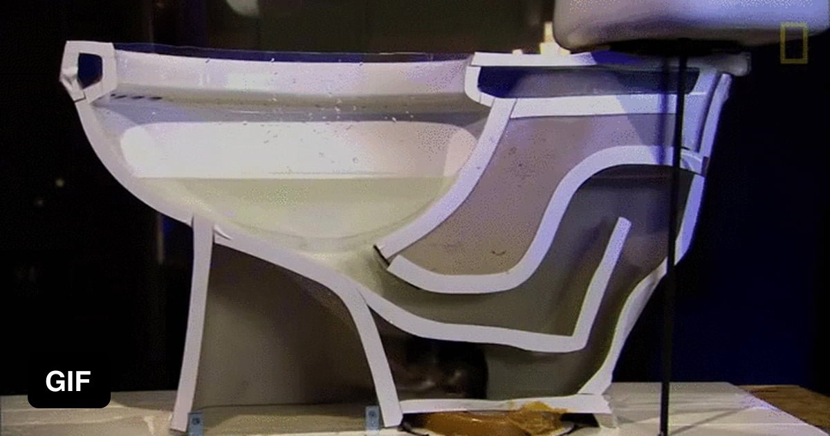 How easily a rat can swim up your toilet 9GAG