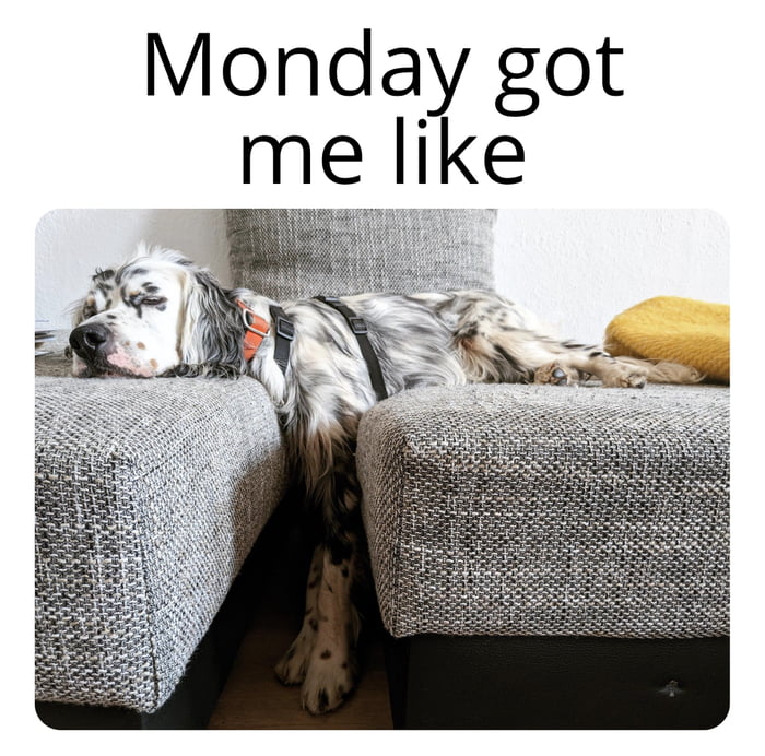 Where did the weekend go 9gag