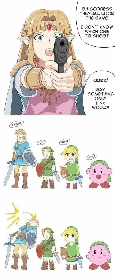 When people call link zelda - 9GAG