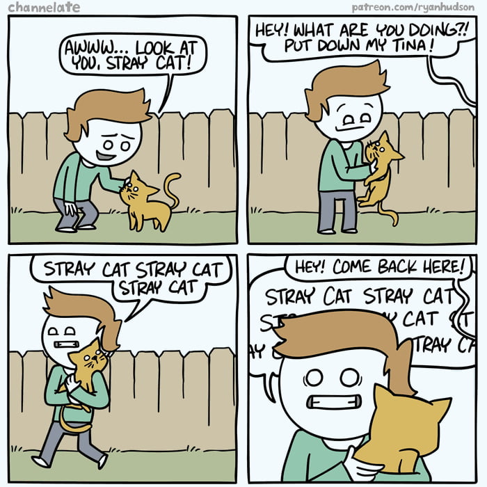 Stray Cat - 9GAG