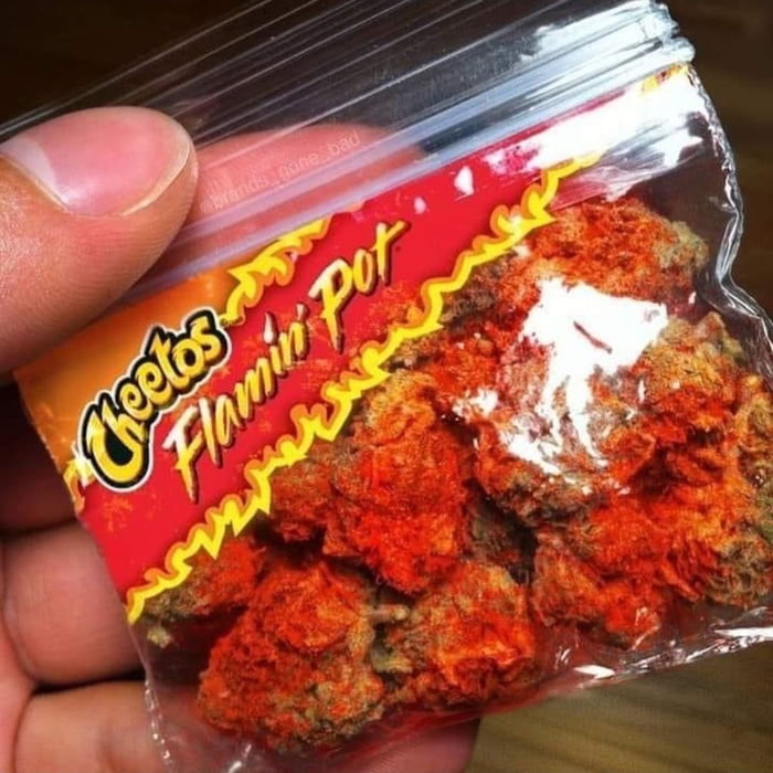 What You Doing After Smoking This 9gag What You Doing After Smoking This 9gag