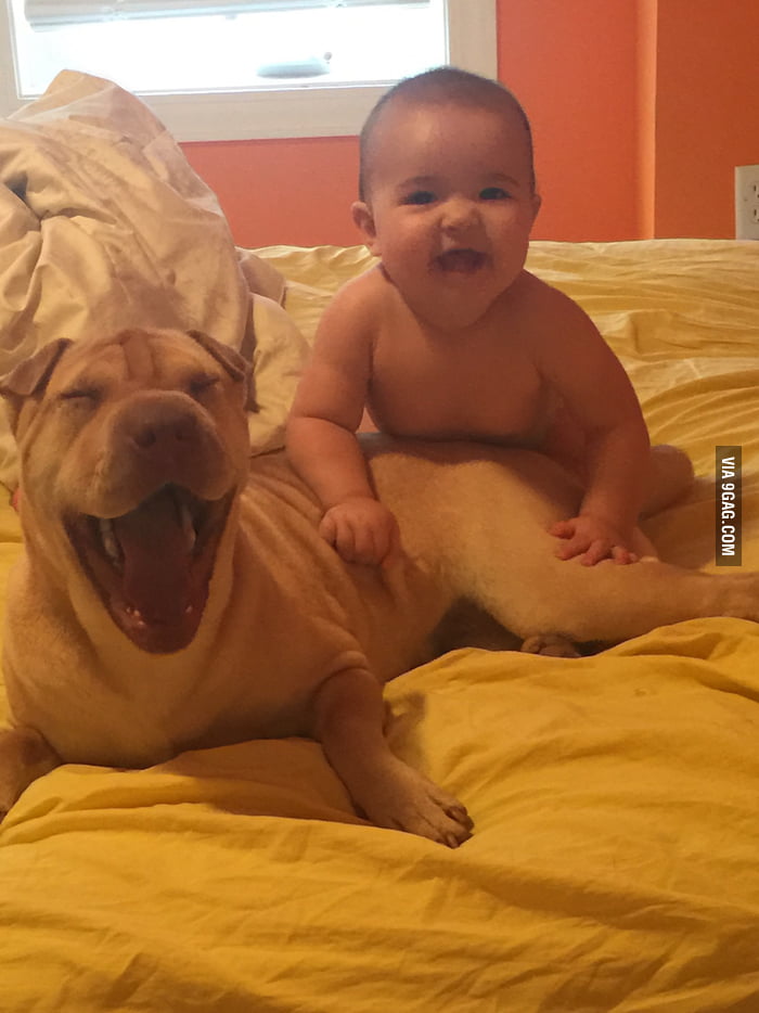 this-is-my-8-month-old-and-my-dog-smiling-together-you-probably-don-t