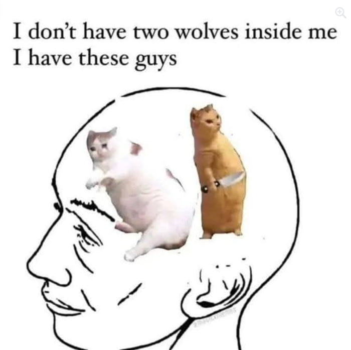 Two Wolves Cringe 2 wolves - 9GAG