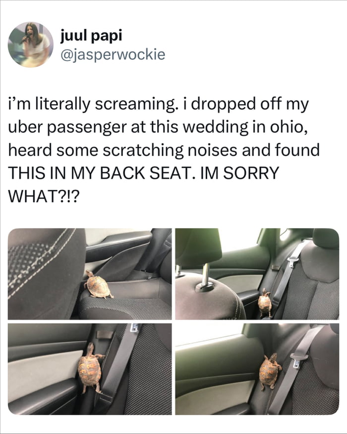 Just a normal day driving Uber, then a tiny passenger appears - 9GAG