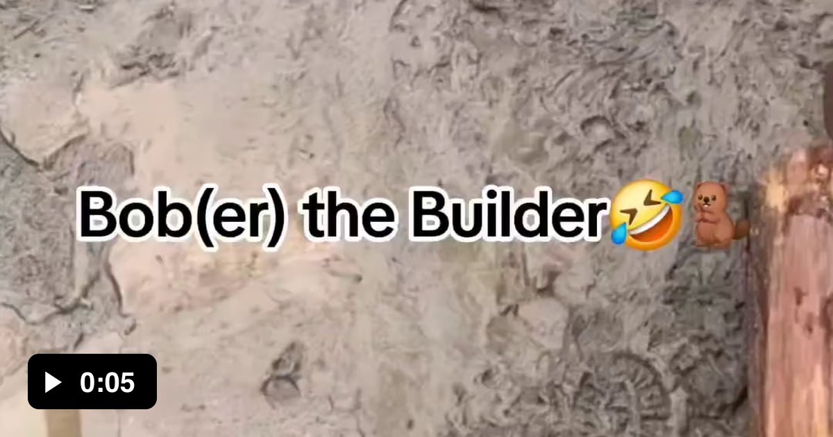 Bober the builder - 9GAG