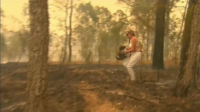 Woman Saves A Koala From Bushfires By Wrapping Her Shirt Around It