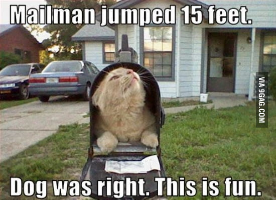 Post box humor - 9GAG