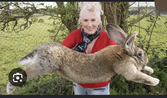 What type of dog is this? - 9GAG