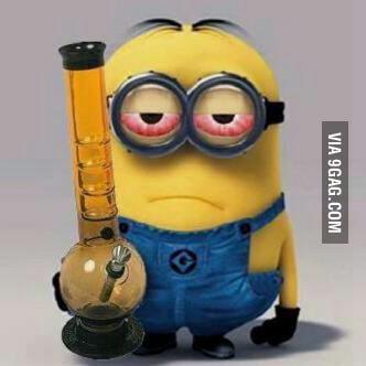 A Minion takes a rip - 9GAG