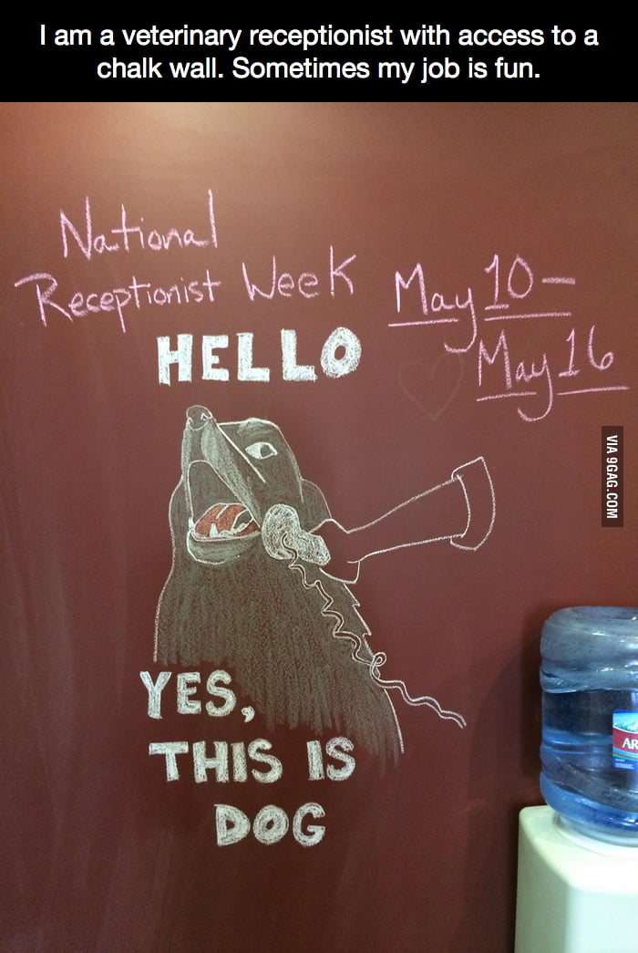 i-want-to-be-a-veterinary-receptionist-9gag