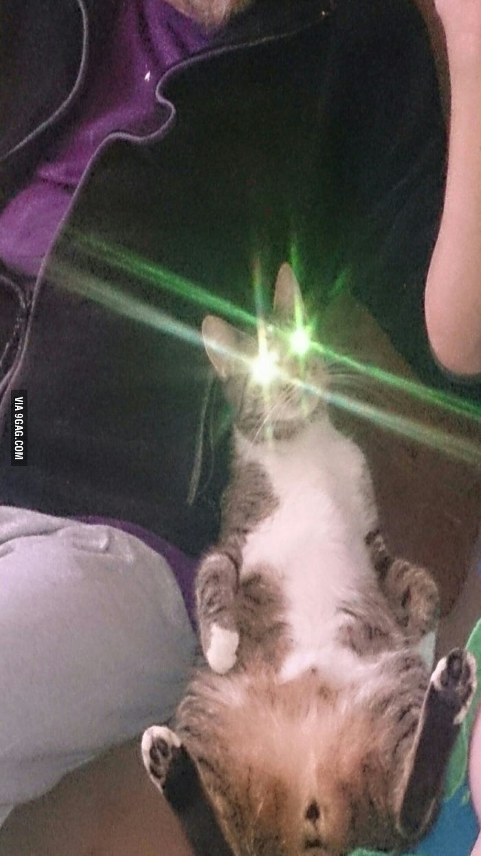 My cat is currently recharging - 9GAG
