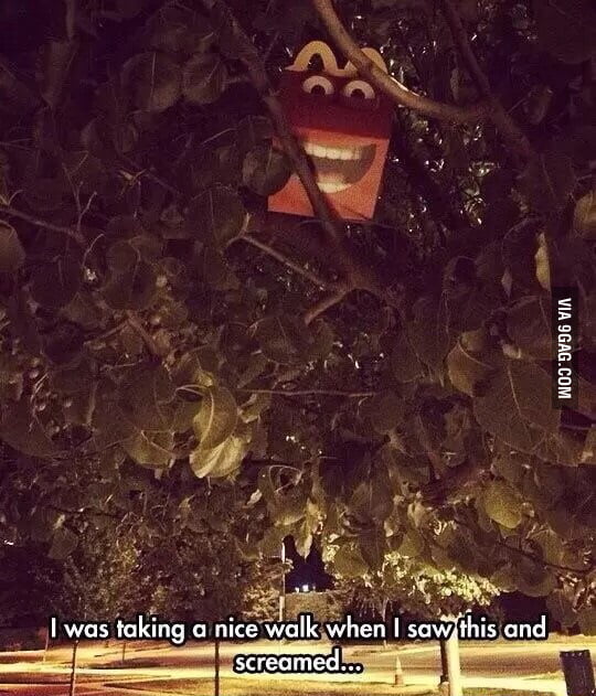 Just the picture threw me off. 9GAG