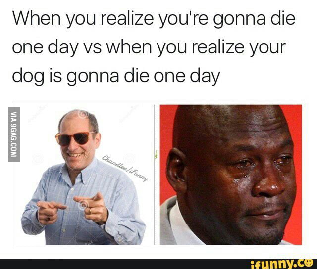 My dog's turning 16 in a week, she's a year younger than me and not