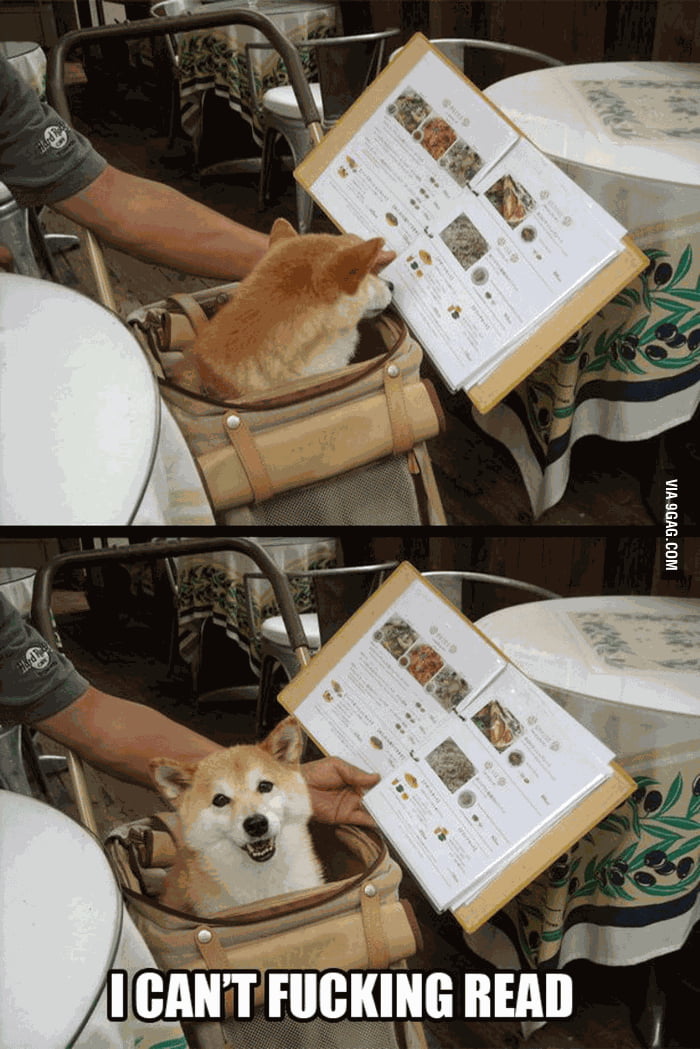 Me in my programming class.. - 9GAG