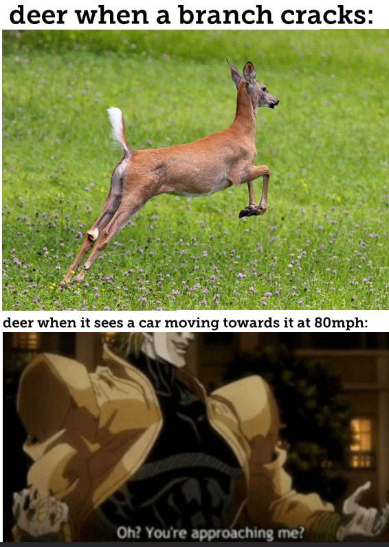 ゴゴゴゴゴゴゴゴ 9GAG