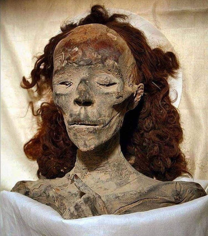 Mummy Of Queen Tiye Wife Of Pharaoh Amenophis Iii And Grandmother Of The Famous Pharaoh Tutankhamen More Than 3300 Years Old 9gag