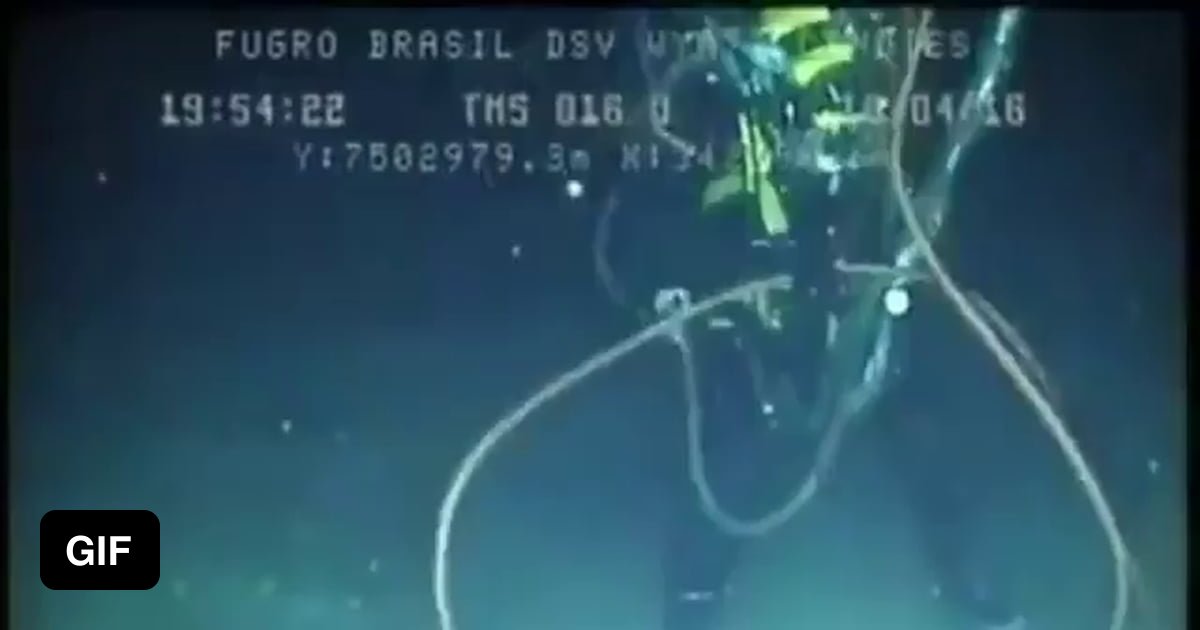 Working scuba diver attacked by a swordfish at 220m deep 9GAG